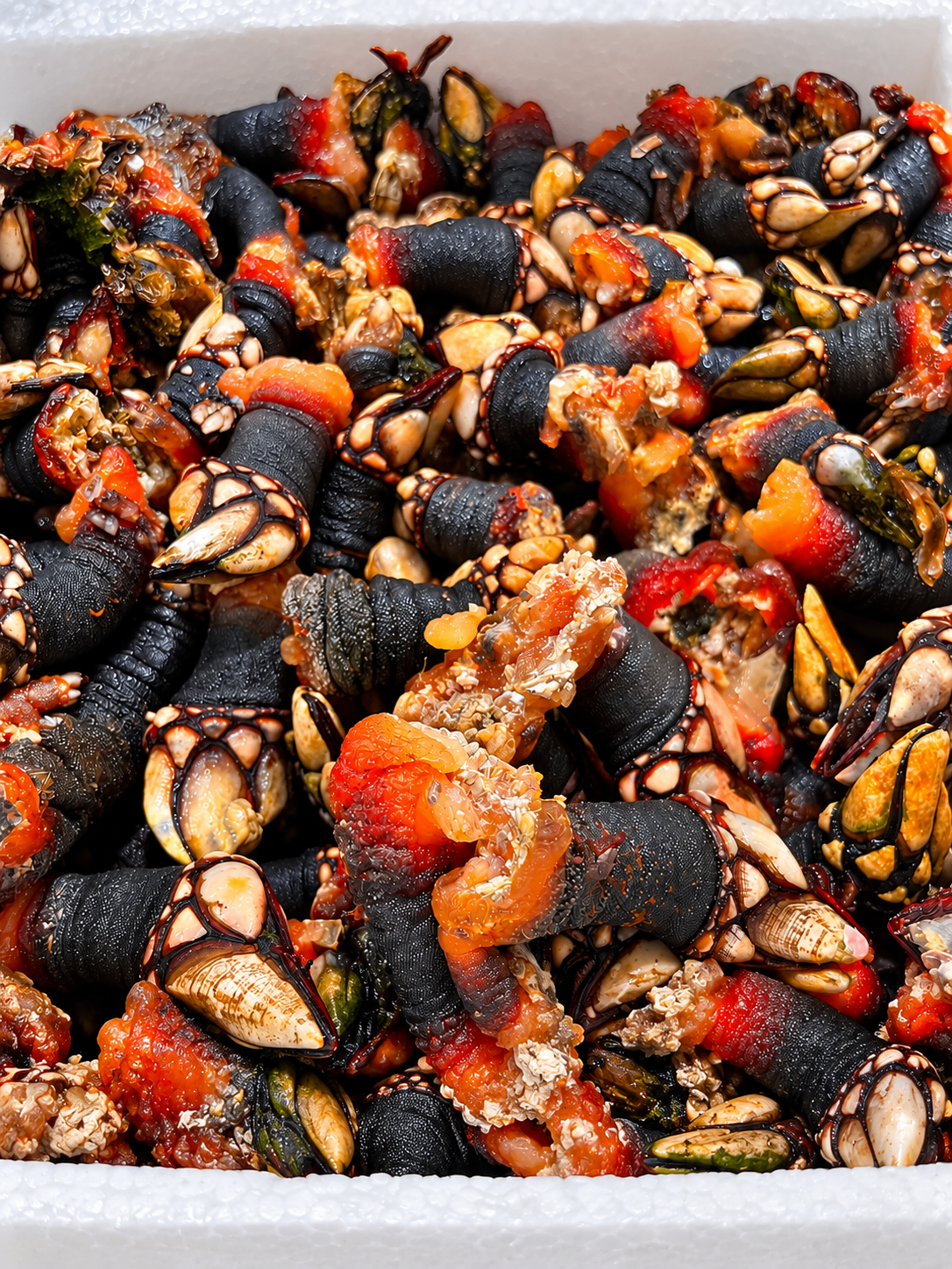Percebes frescos en el mostrador de OSMAR